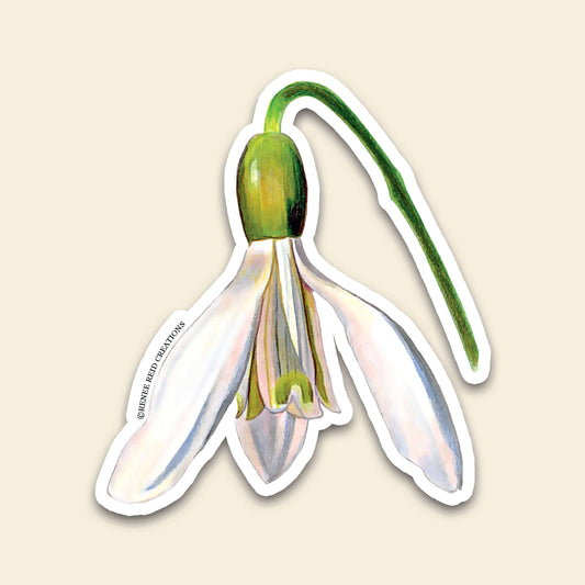 Snowdrop Flower Vinyl Sticker featuring a delicate snowdrop flower with white petals and a green stem.