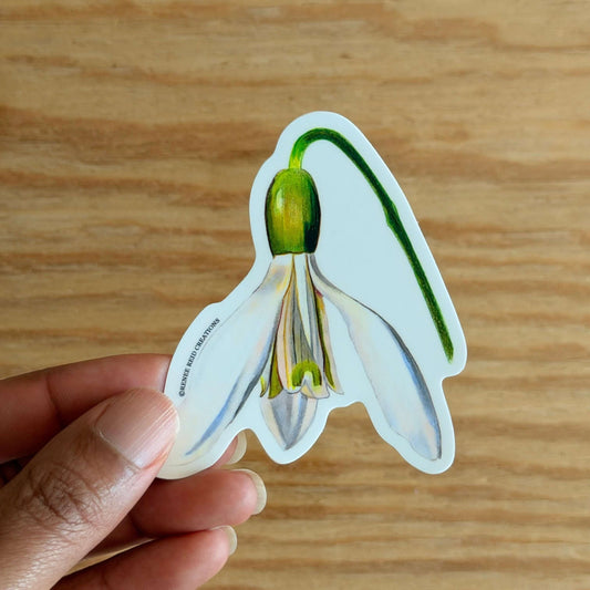 Snowdrop Duo Flower Vinyl Sticker held by a hand on a wooden surface