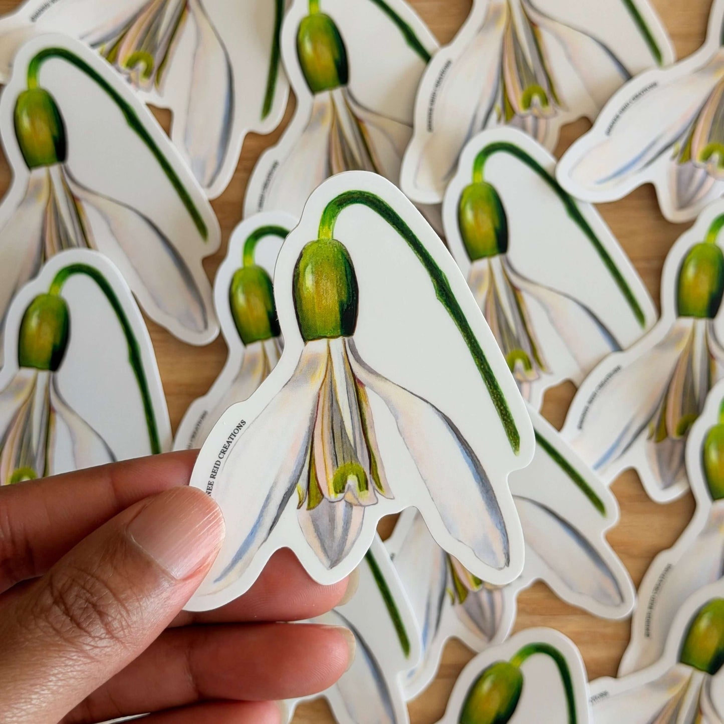 Snowdrop Flower Vinyl Sticker held by a hand with more stickers on a wooden surface.