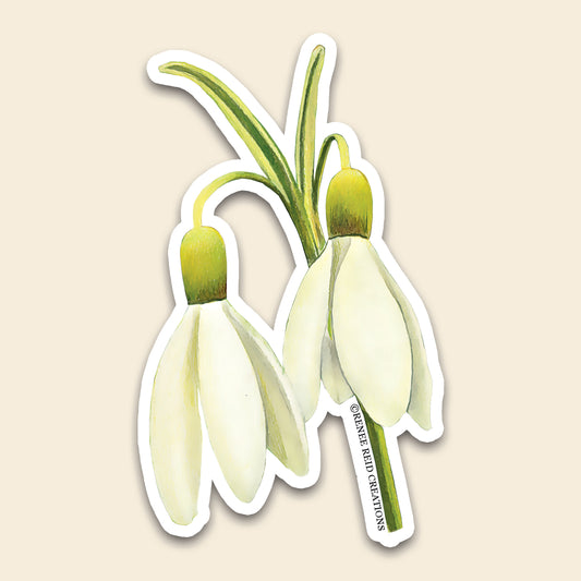 Snowdrop Duo Flower Vinyl Sticker featuring two snowdrop blooms on an adhesive vinyl surface.