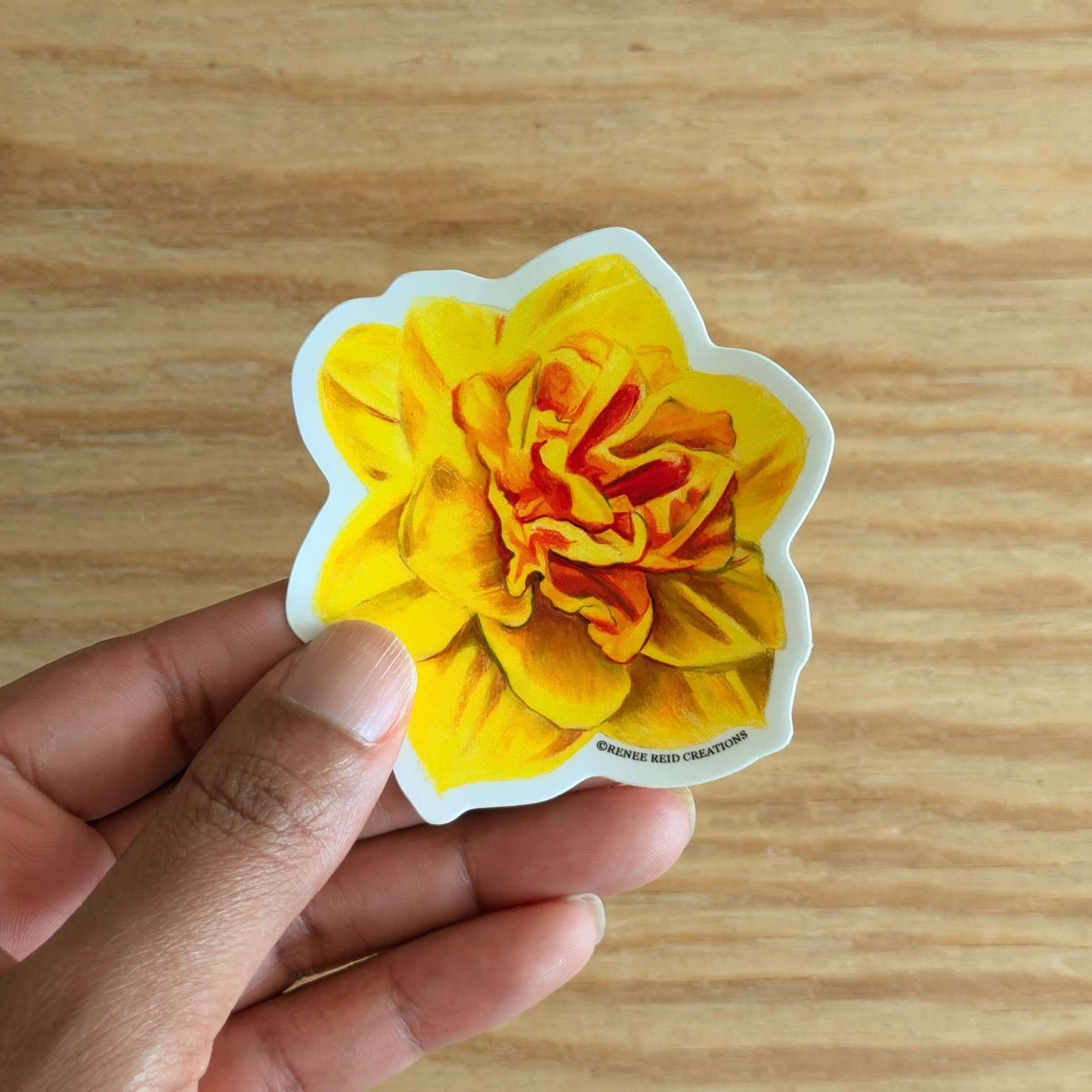 Hand holding a Yellow Daffodil Flower Vinyl Sticker on a wooden surface