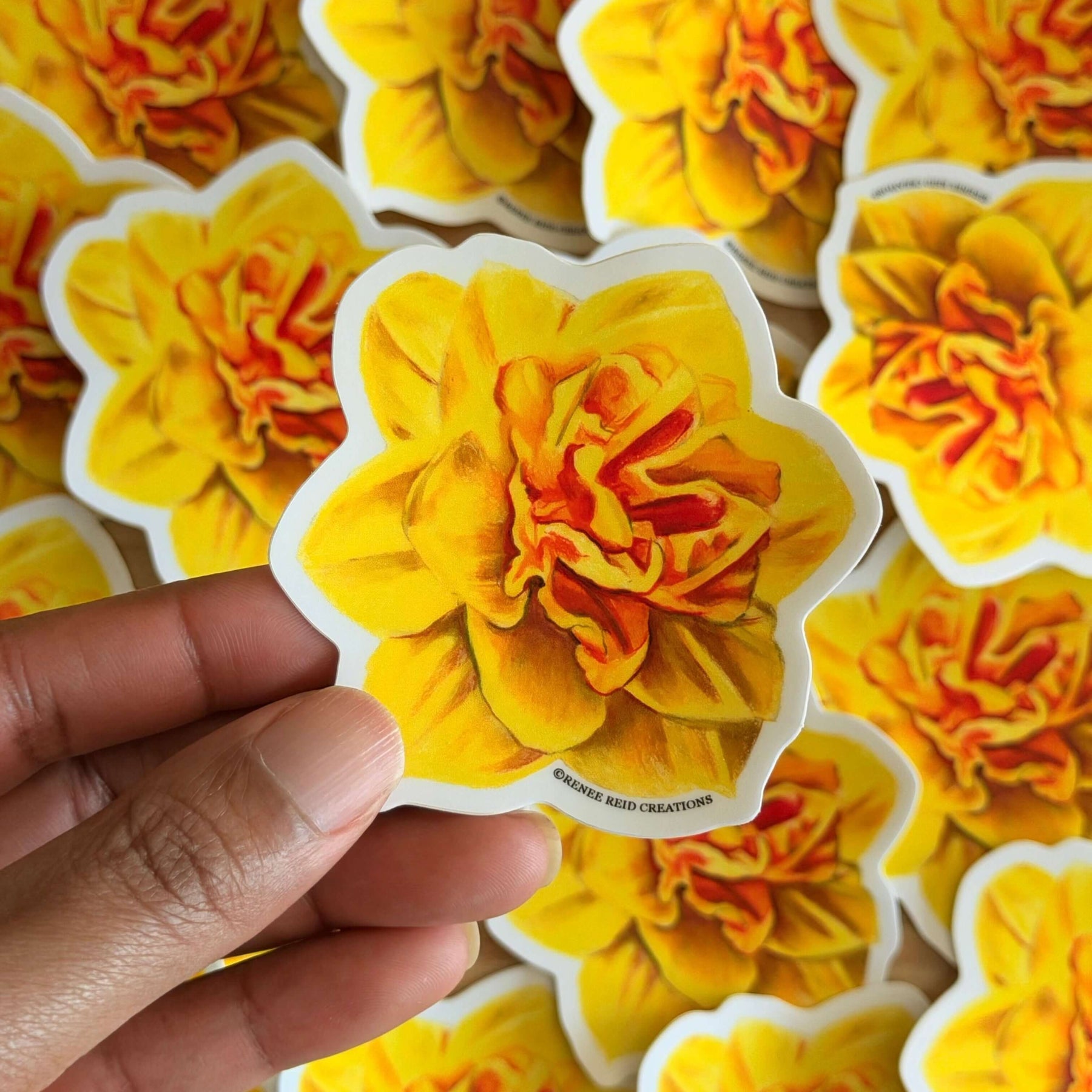Hand holding a Yellow Daffodil Flower Vinyl Sticker with more stickers in the background.