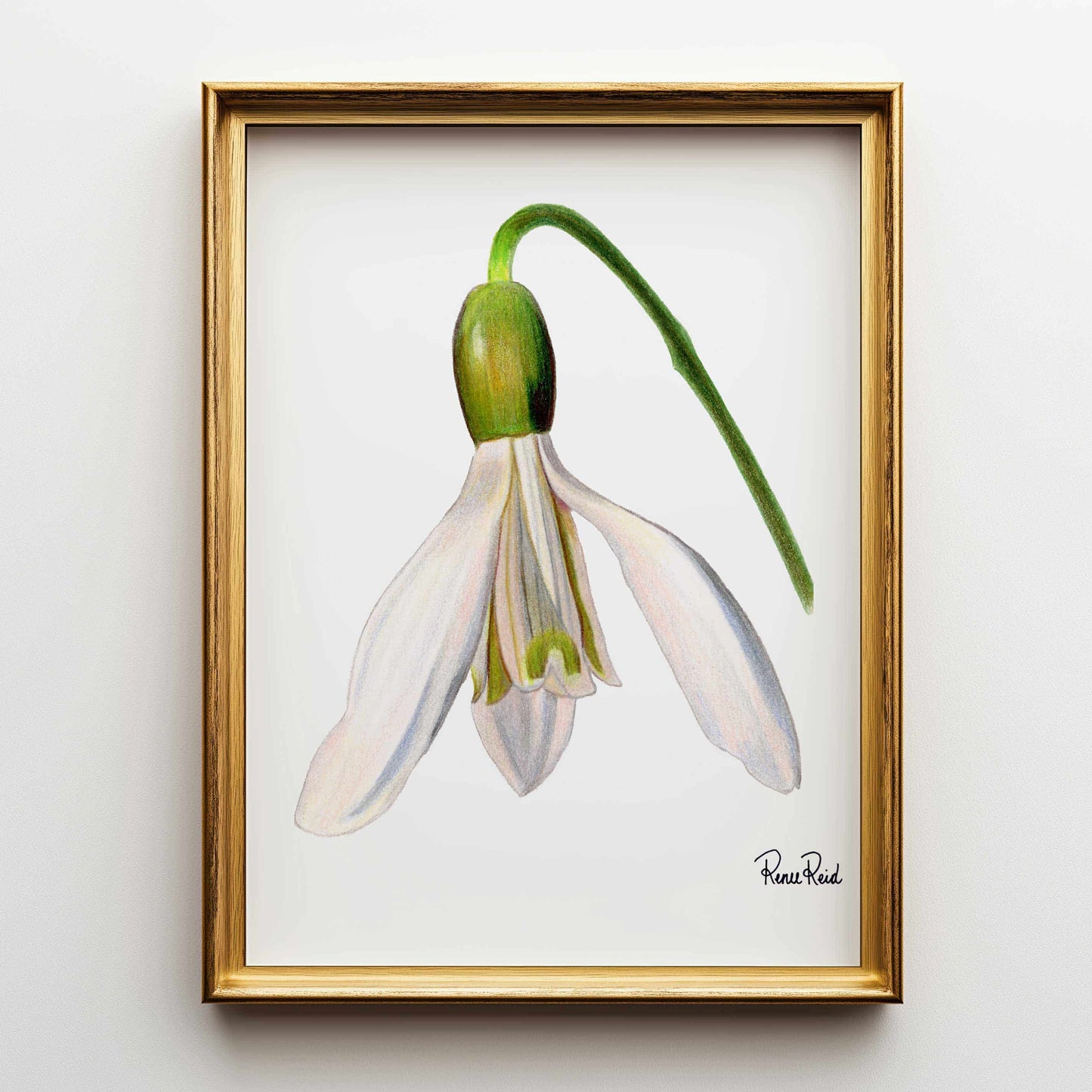 Straßenschild Fine Art Print