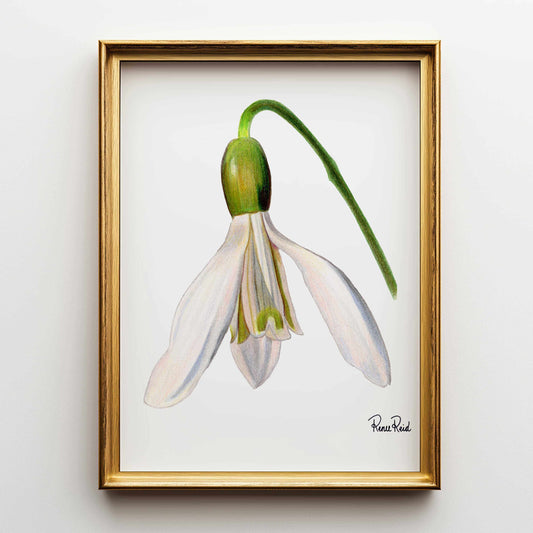Straßenschild Fine Art Print