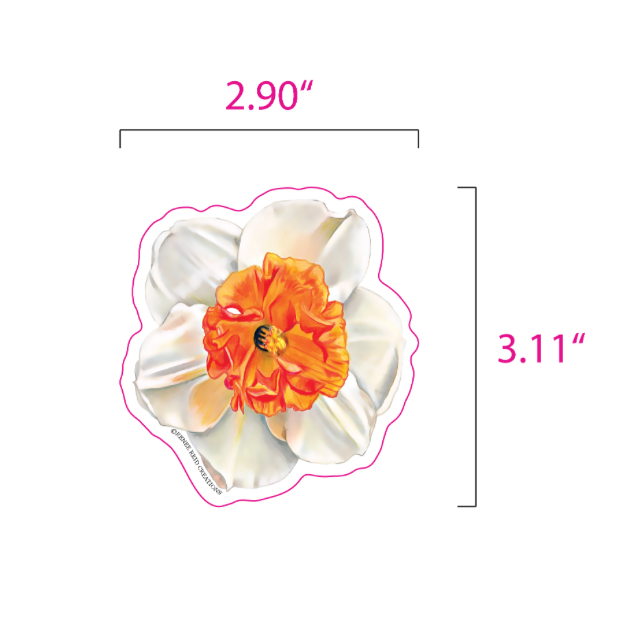 A narcissus flower sticker shown on a white background with pink measurement lines and text indicating dimensions of 2.90 inches by 3.